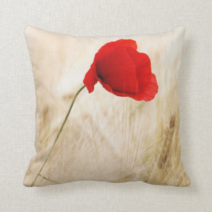 Single Red Poppy in a Grassy Field Cushion