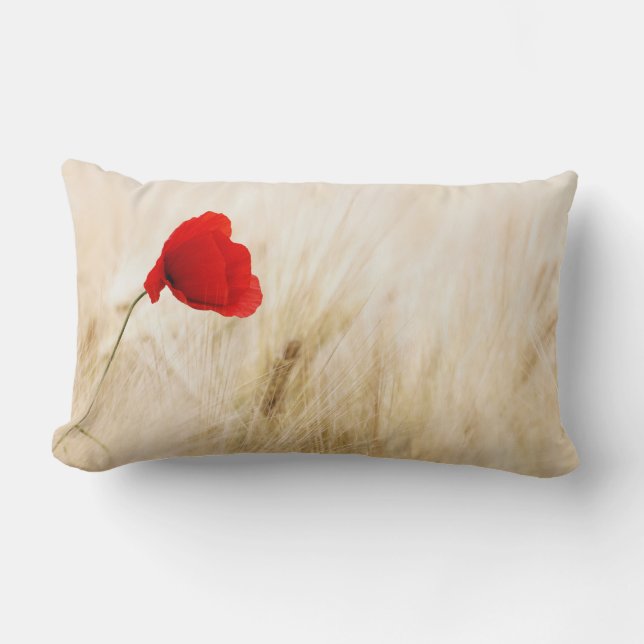 Single Red Poppy in a Grassy Field Lumbar Cushion (Front)
