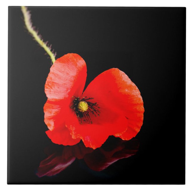 Single red poppy on black ceramic tile (Front)