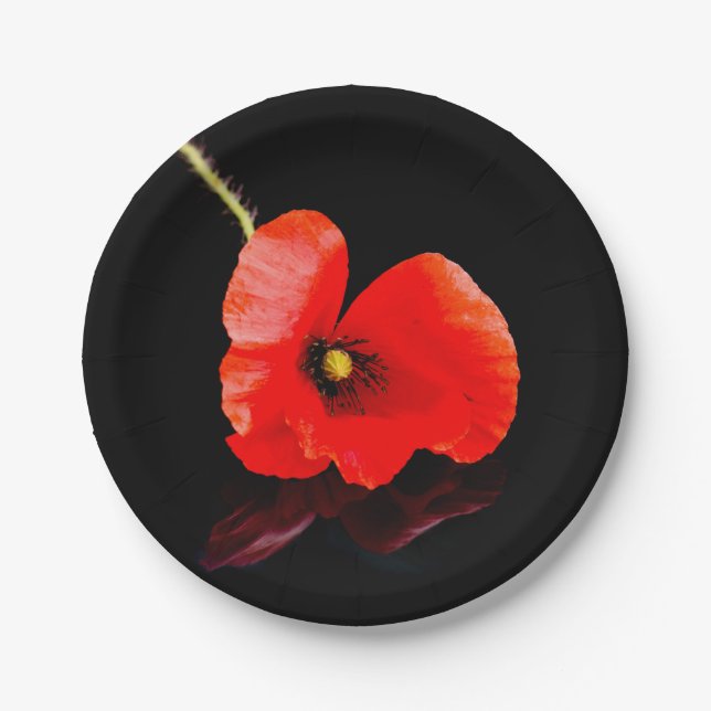 Single red poppy on black paper plate (Front)