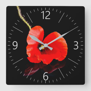 Single red poppy on black square wall clock