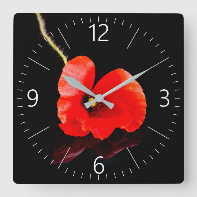 Single red poppy on black square wall clock (Front)