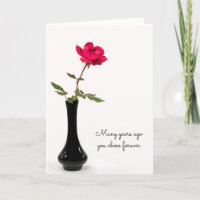 single red rose anniversary