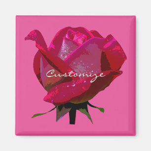 single red rose any colour magnet