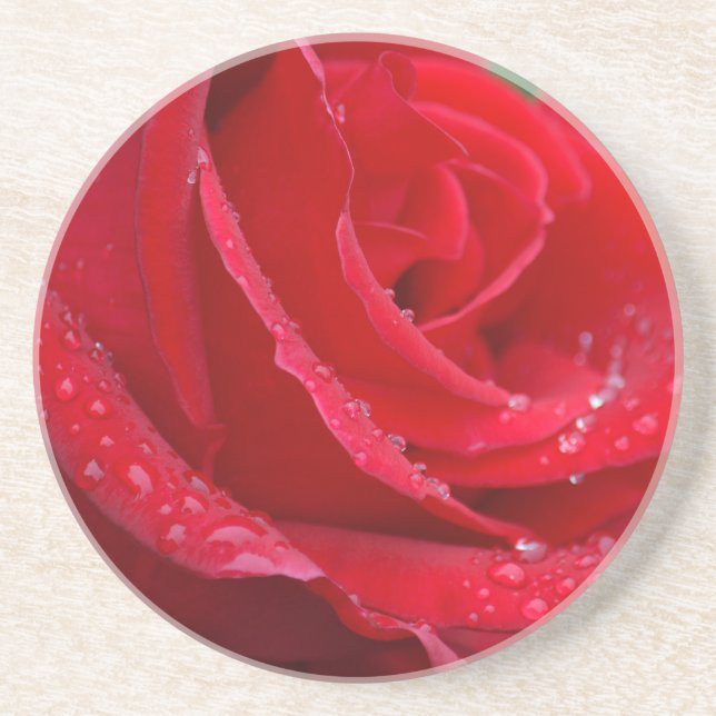 Single red rose blossoms coaster (Front)