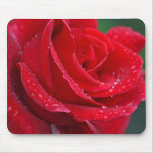 Single red rose blossoms mouse pad