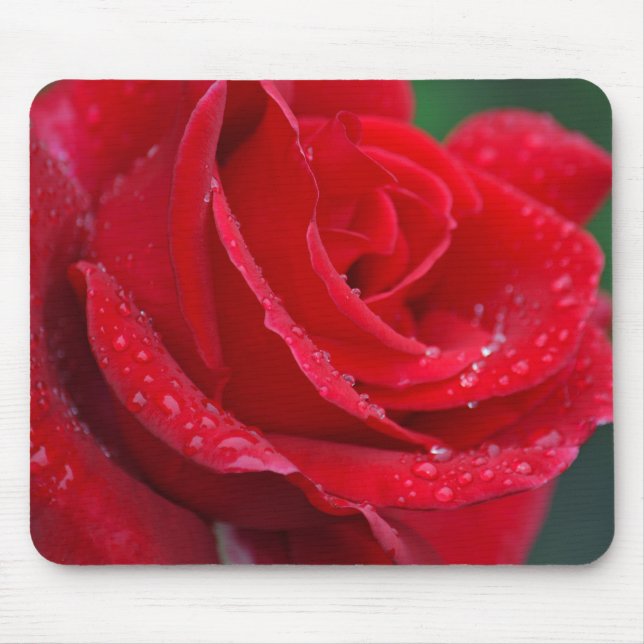 Single red rose blossoms mouse pad (Front)