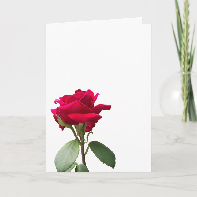 Single red rose card (Front)