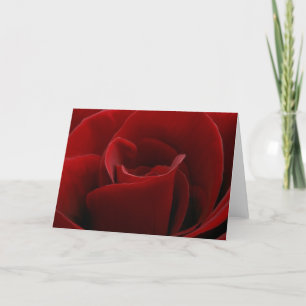 Single Red Rose Card