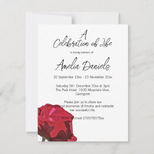 Single Red Rose Celebration of Life Card