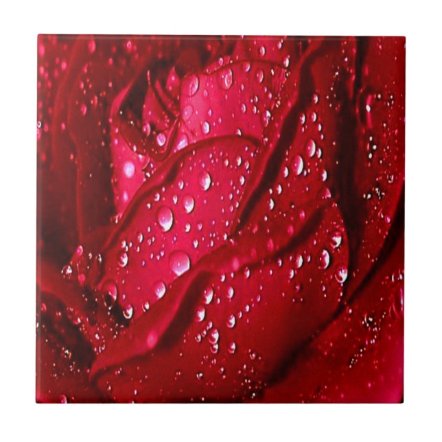 Single Red Rose in the Rain Ceramic Tile (Front)