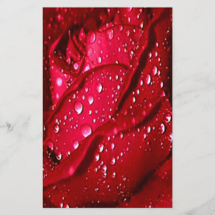 Single Red Rose in the Rain Stationery