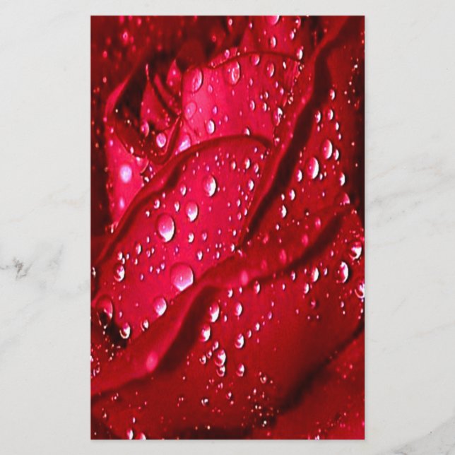 Single Red Rose in the Rain Stationery (Front)