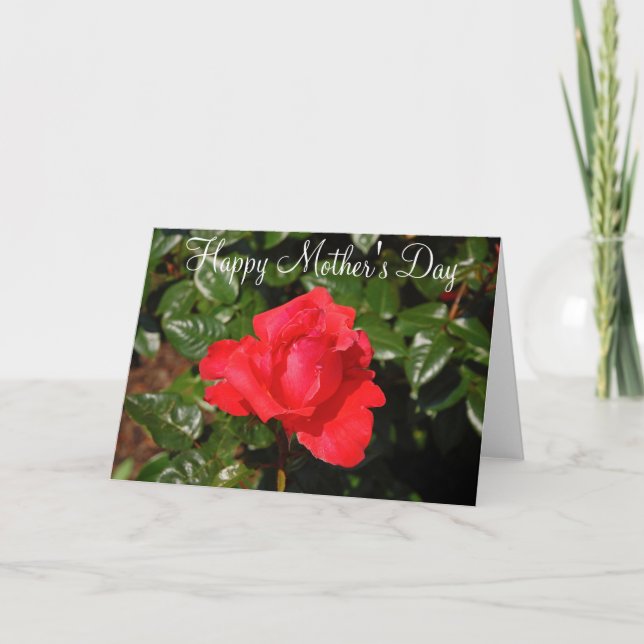Single red rose Mother's Day greeting card (Front)