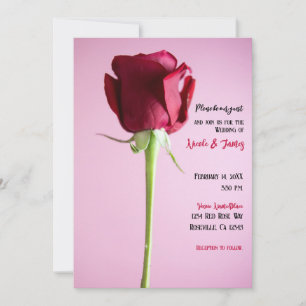Single Red Rose Pink Romantic Elegant Wedding  Invitation