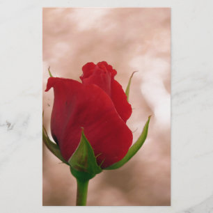 Single Red Rose Stationery