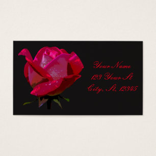 single red rose Thunder_Cove any colour