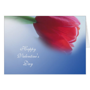 Single red tulip flower
