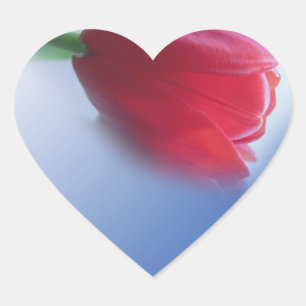 Single red tulip flower heart sticker