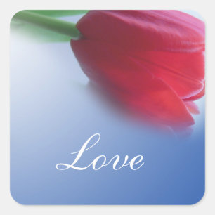 Single red tulip flower square sticker