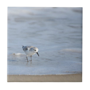 Single Sandpiper walking on beach  Ceramic Tile