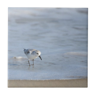 Single Sandpiper walking on beach Ceramic Tile