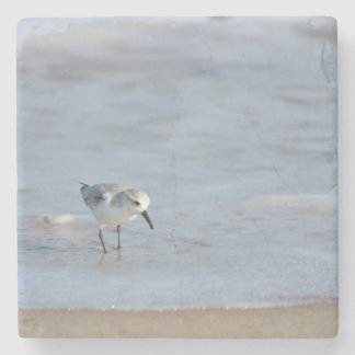 Single Sandpiper walking on beach Stone Coaster