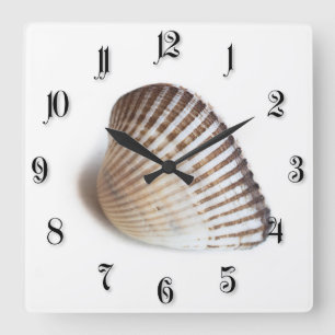 Single seashell square wall clock