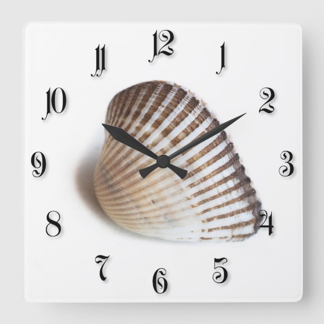 Single seashell square wall clock (Front)