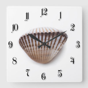 Single seashell square wall clock