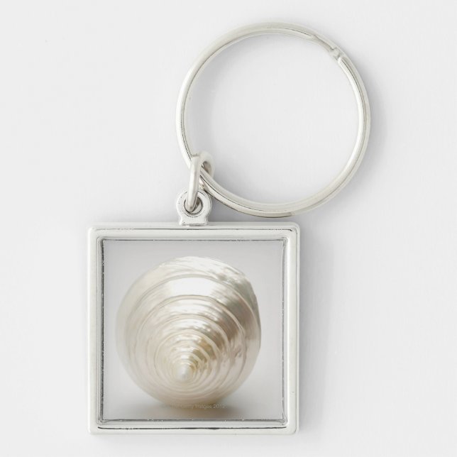 Single spiral seashell key ring (Front)