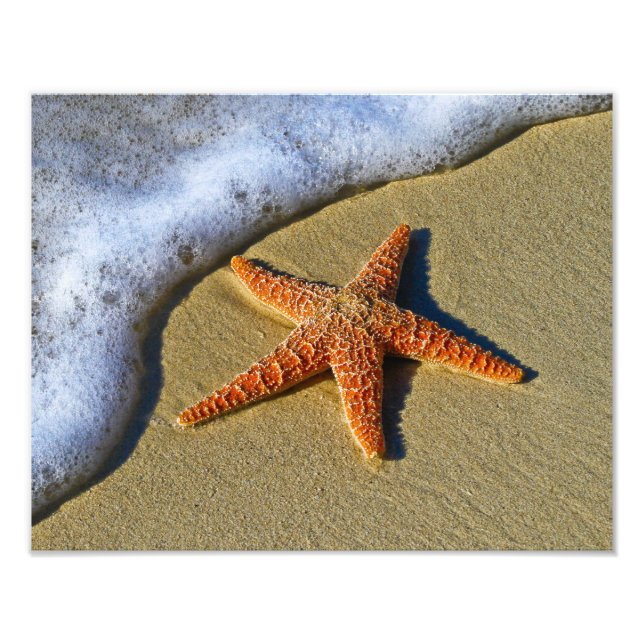 Single Starfish on Beach Photo Print (Front)