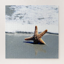 Single Starfish Washed Ashore