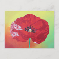 Single Stem Poppy On Red Green And Orange Backgrou
