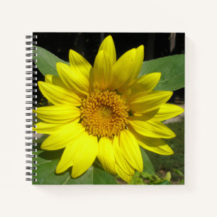 Single Sunflower Notebook
