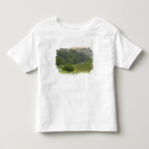 Single tree in agricultural farm field, Tuscany, Toddler T-Shirt