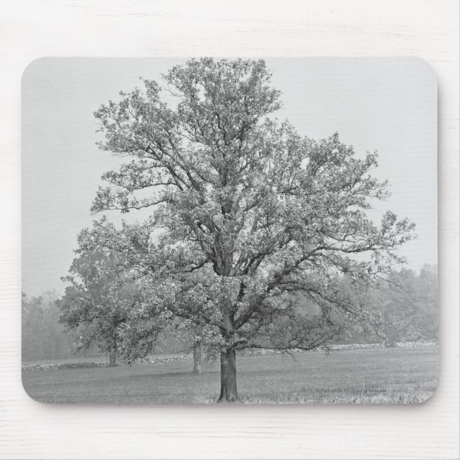 Single tree in field B&W Mouse Pad (Front)