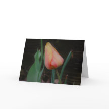 Single Tulip Note Card