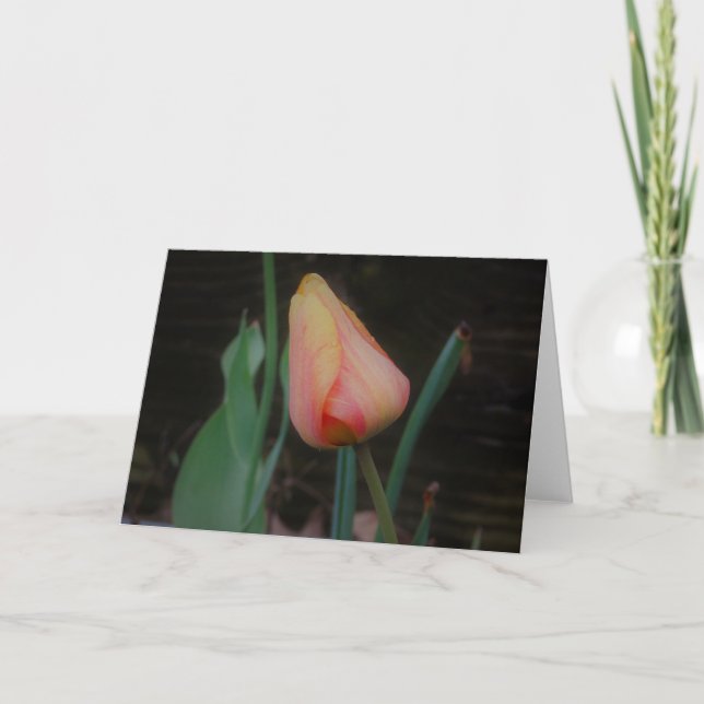 Single Tulip Note Card (Front)