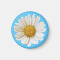 Single White Daisy on Sky Blue