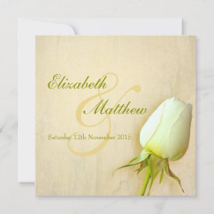 Single white rose bud wedding square invitation