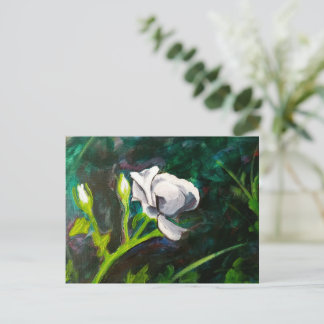 Single White Rose Postcard