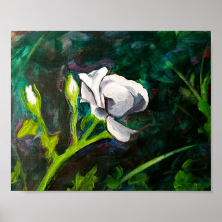 Single White Rose Poster