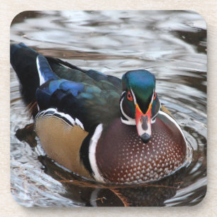 Single Wood Duck Coaster