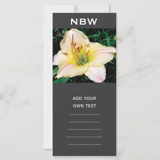 single yellow lily flower. (Front)