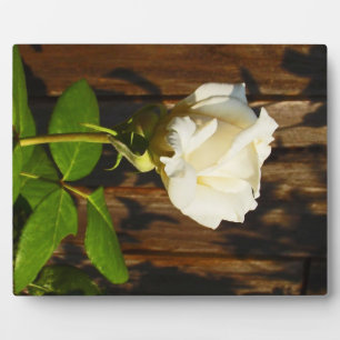 Single Yellow Rose ~ 8x10 With Easel Plaque