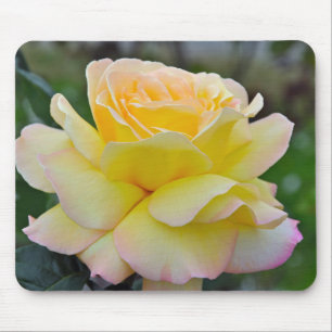 Single yellow rose mouse pad