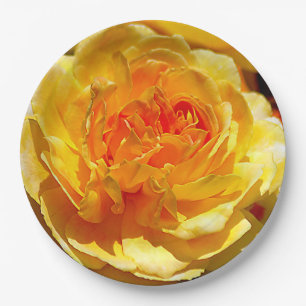 Single yellow rose   paper plate