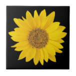 Single Yellow Sunflower on Black Ceramic Tile<br><div class="desc">A close-up photo of a bright yellow sunflower.</div>