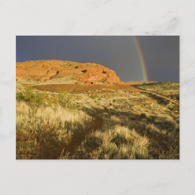 Singletrack at Red Cliffs Desert Preserve near Postcard (Front)
